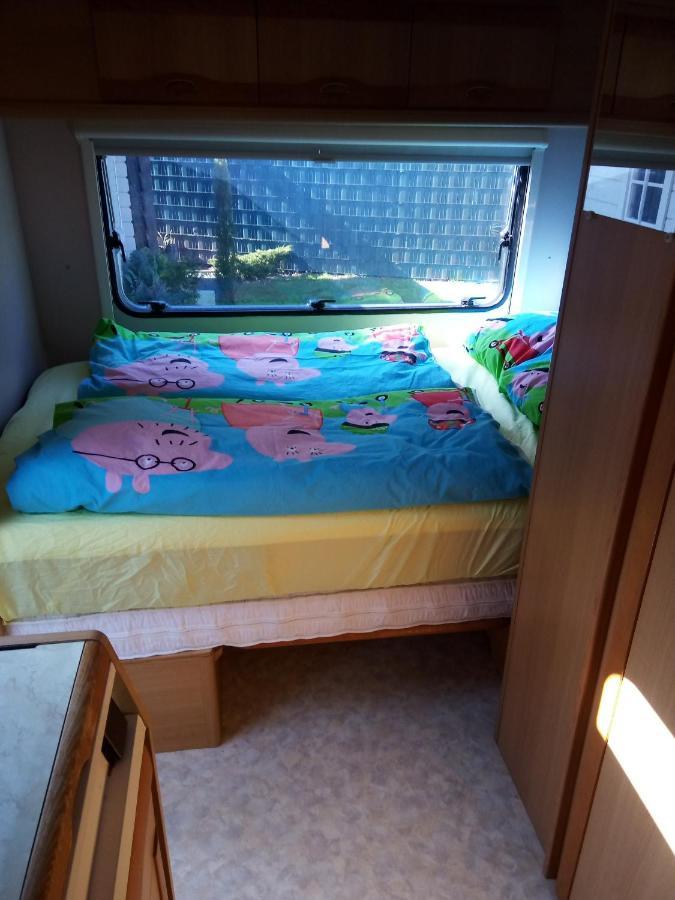 Urlaub Machen Direkt Am Irland Das Kinderparadies In Twisteden Im Grossen Garten Bei Privatleute Fur Maximal Sechs Personen Kevelaer Bagian luar foto